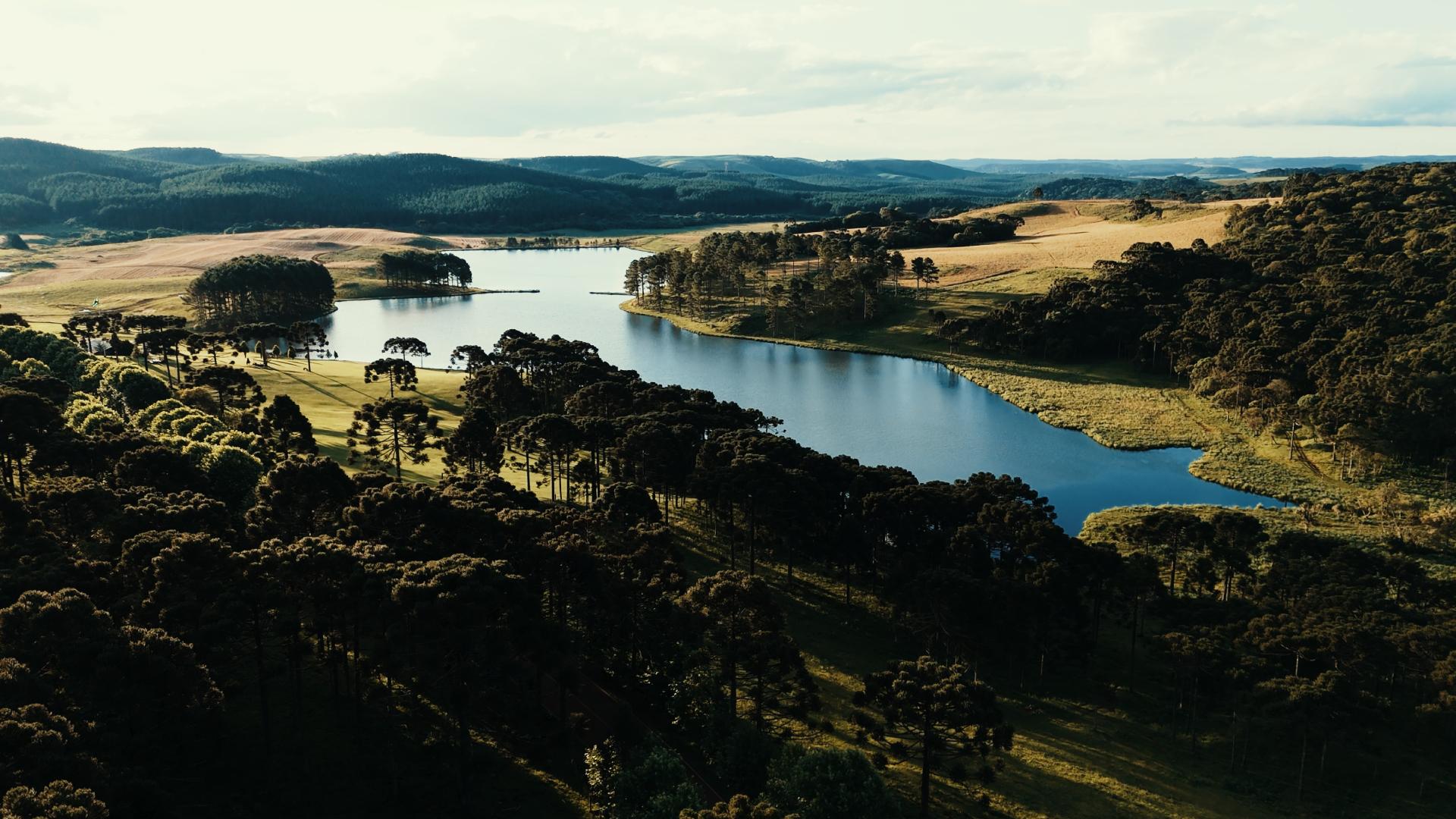 Rebranding não é estética, é arquitetura emocional: Case Vinícola Grando